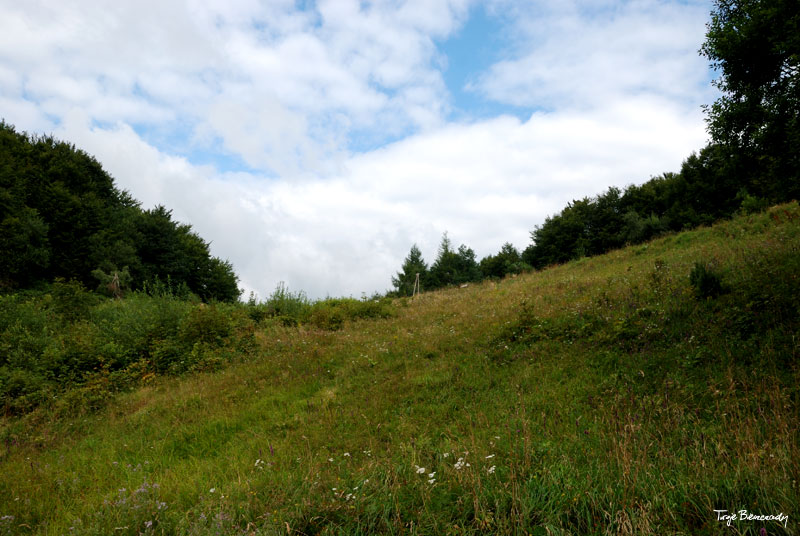 Prze��cz nad Roztokami - Rusk�