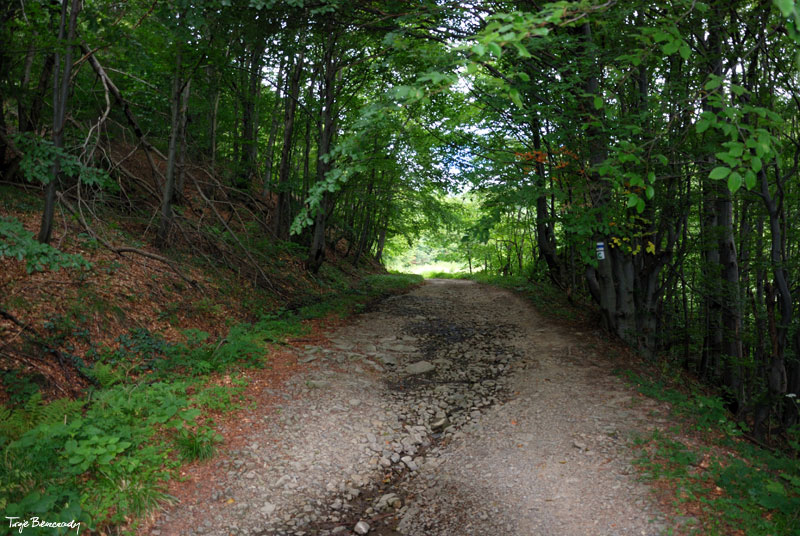 Prze��cz nad Roztokami - Rusk�