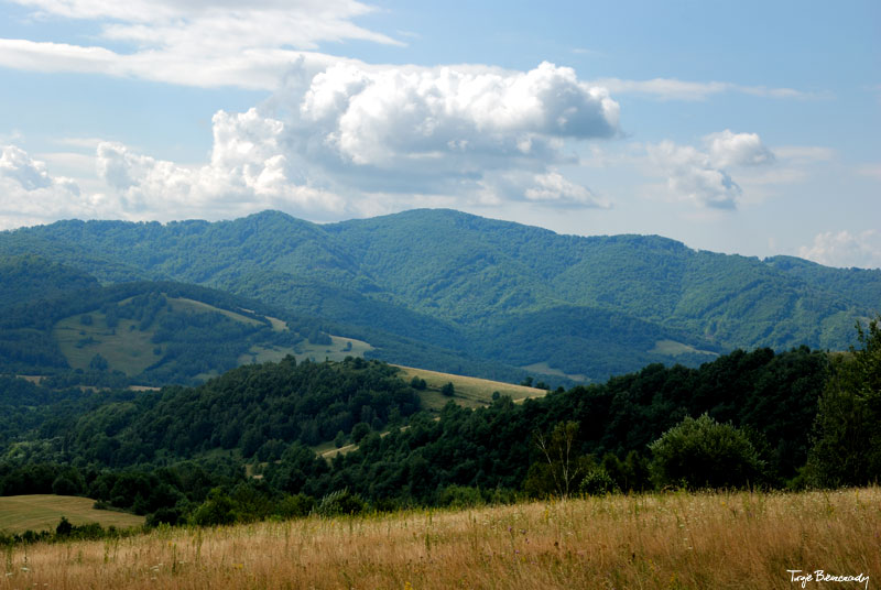 Prze��cz nad Roztokami - Rusk�