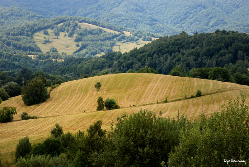 Prze��cz nad Roztokami - Rusk�