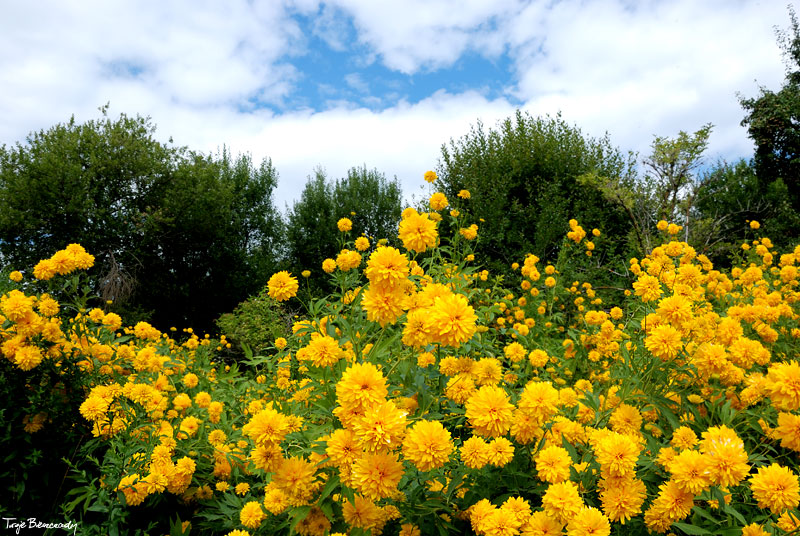 Prze��cz nad Roztokami - Rusk�