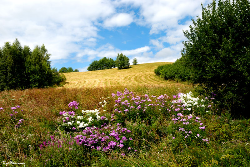 Prze��cz nad Roztokami - Rusk�