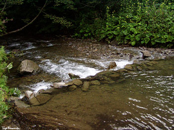 Potok Rzeka
