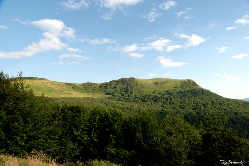 Po�onina Wetli�ska