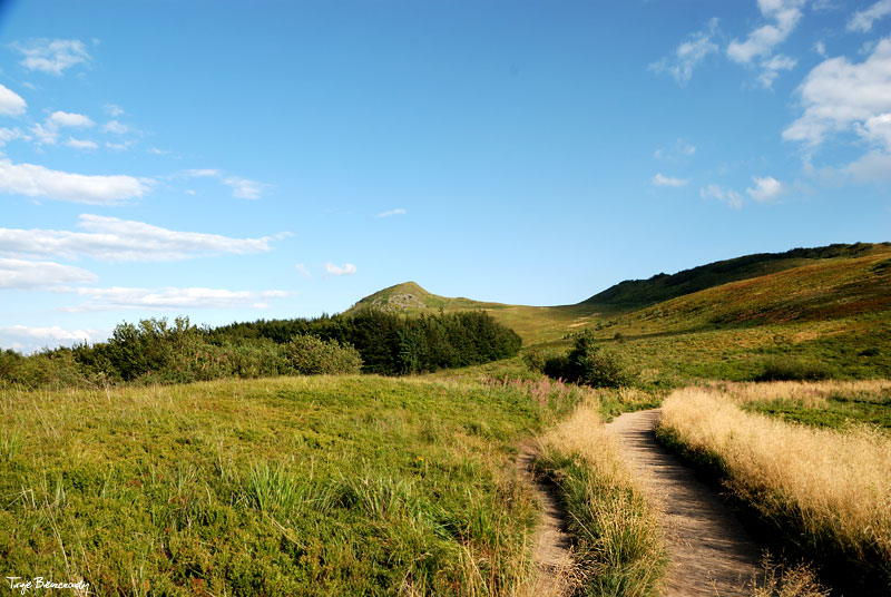 Po�onina Wetli�ska