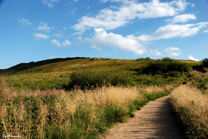 Po�onina Wetli�ska