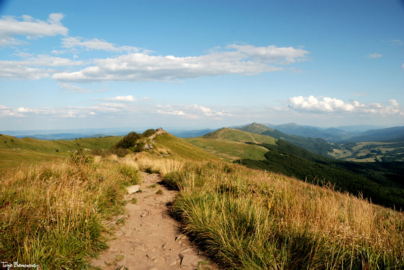 Po�onina Wetli�ska