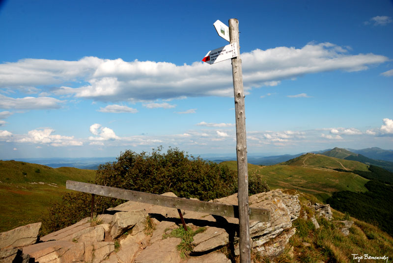 Po�onina Wetli�ska