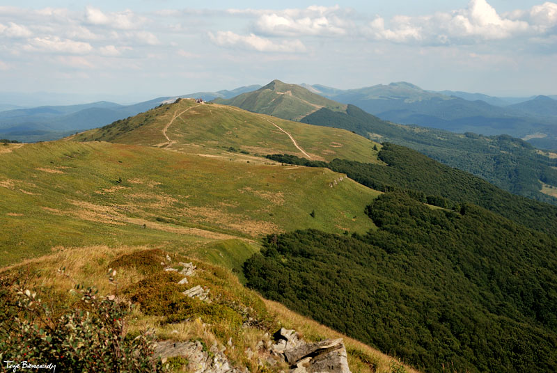 Po�onina Wetli�ska