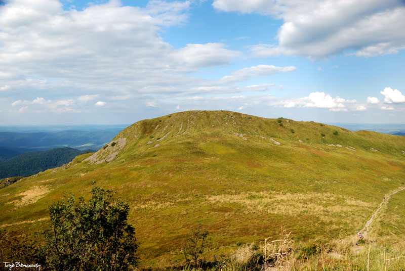 Po�onina Wetli�ska