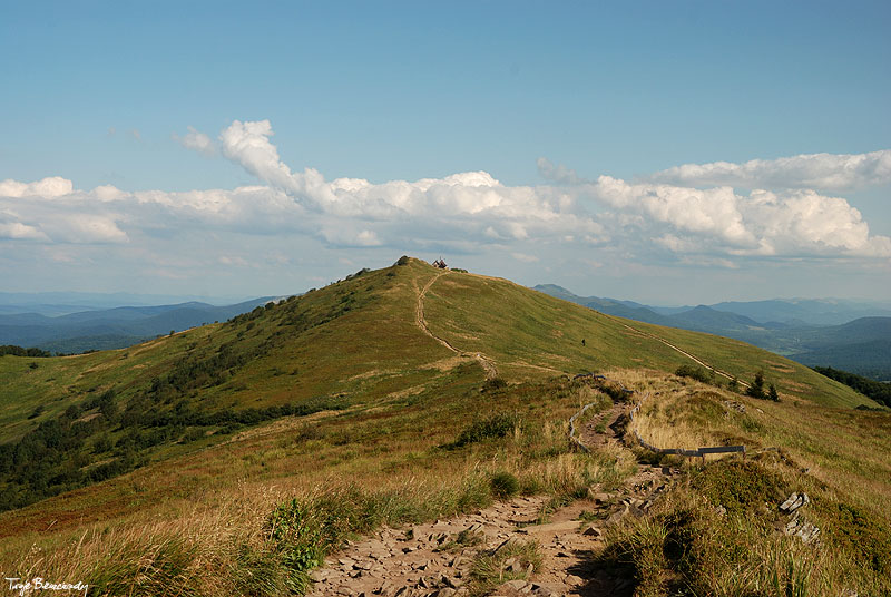 Po�onina Wetli�ska