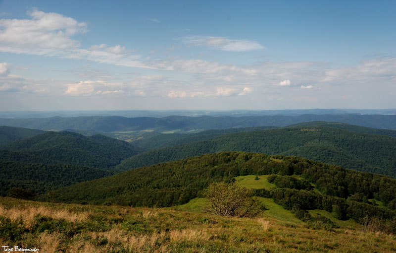 Po�onina Wetli�ska