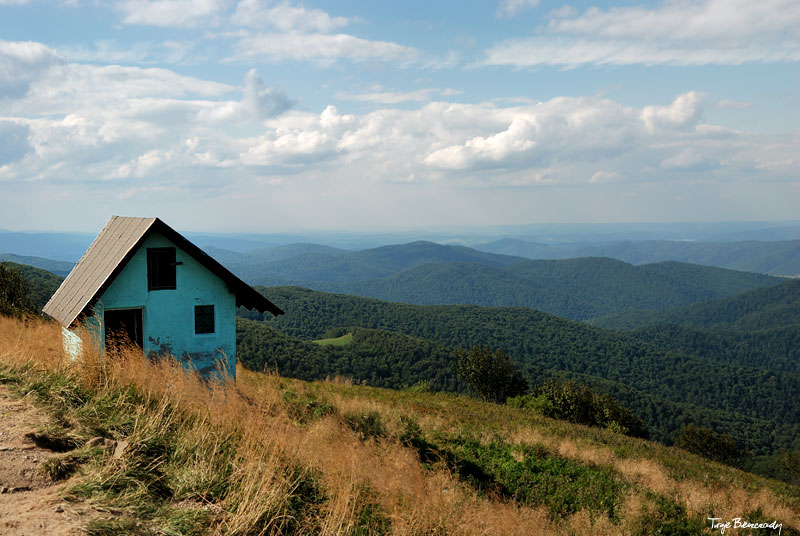 Po�onina Wetli�ska