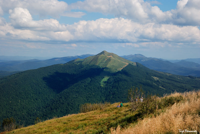 Po�onina Wetli�ska