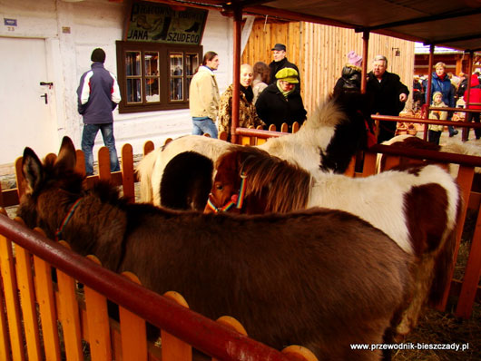 Żywa szopka, skansen w sanoku