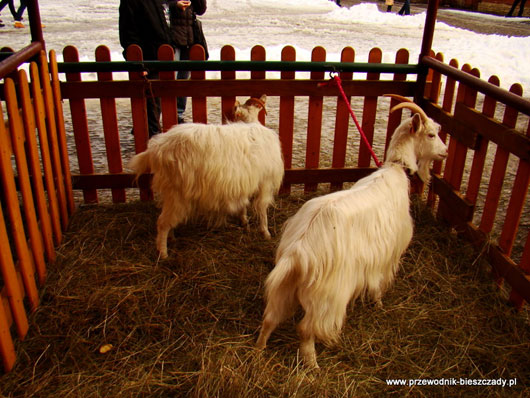 Szopka, skansen w sanoku