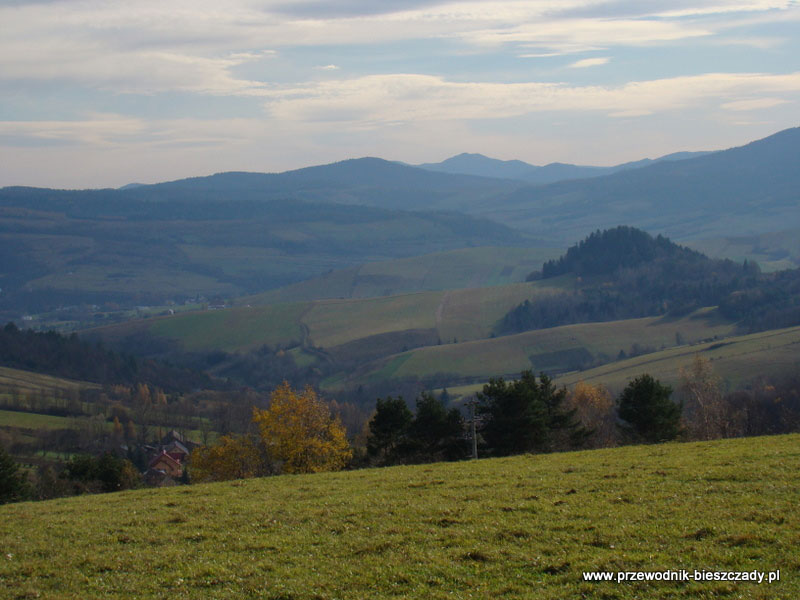 Cisowiec