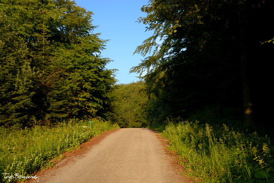 przełęcz Żebrak