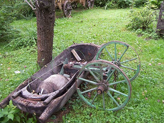 Ogród, sanok