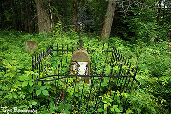 Dawny cmentarz w Solince