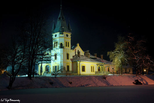 Pałac w Olszanicy zimą