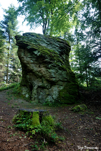 Kamień Orelecki