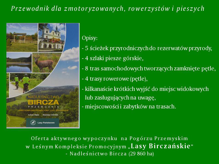 Przewodnik