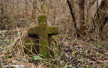 Wola Michowa - dawny cmentarz