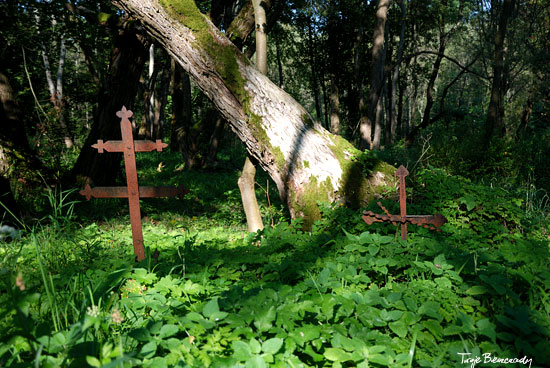 Cmentarz w Woli Michowej