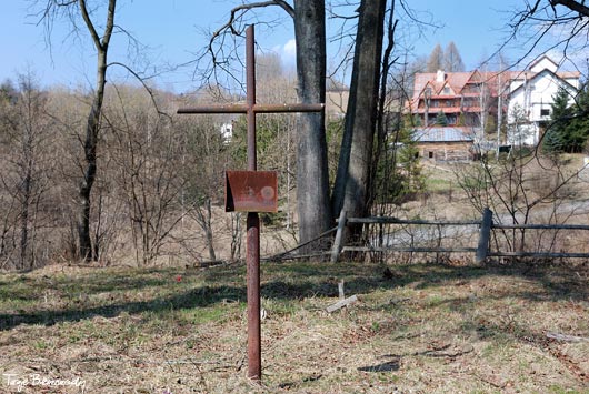 Cmentarz i cerkwisko w Czarnej Dolnej