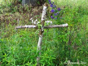 Żubracze - brzozowy krzyż na jednym z grobów
