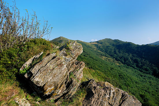 Szlak na Bukowe Berdo