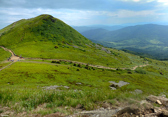 Tarnica