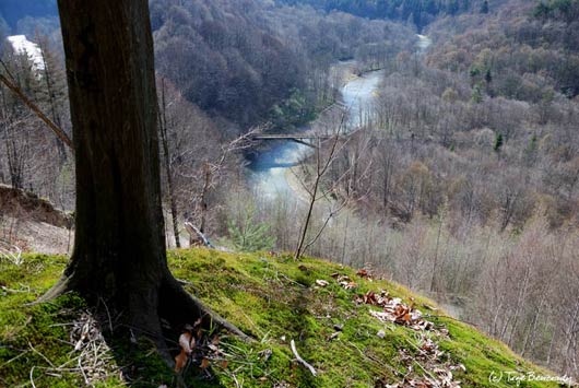 Przełom osławy pod Duszatynem