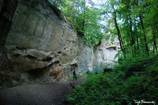 Kamień Leski