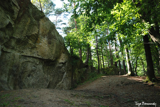Kamień Leski ścieżka