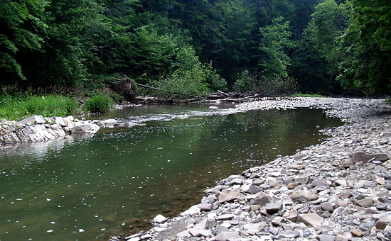 Przełom osławy pod Duszatynem