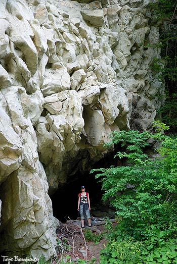 Jaskinia Rosolin