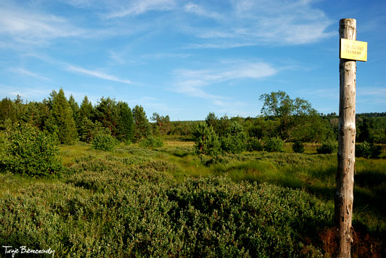 torfowisko Tarnawa Wyżna