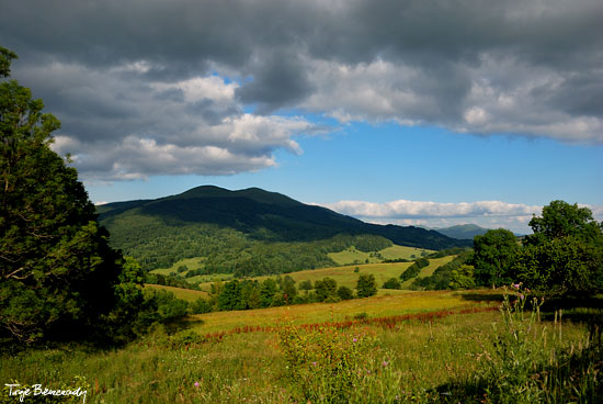 Przełęcz Wyżna