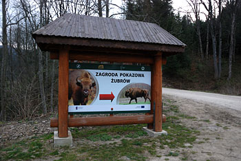 zagroda żubrów w mucznem