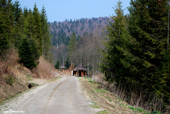 Zagroda żubrów w Mucznem