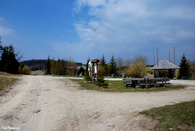 bukowiec