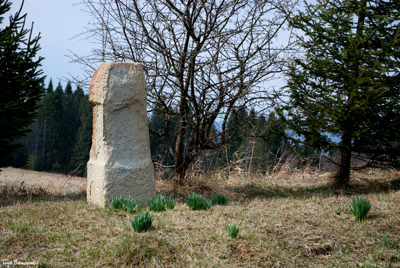 dolina g�rnego Sanu