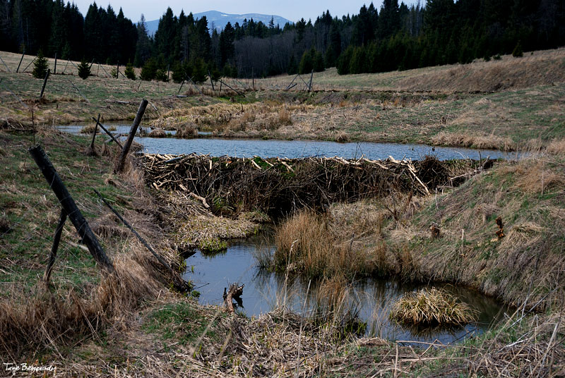 dolina g�rnego Sanu