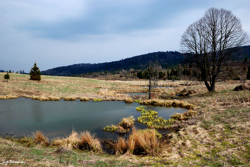 dolina g�rnego Sanu