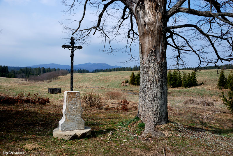 dolina g�rnego Sanu