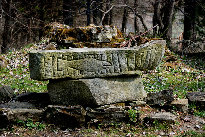 dolina g�rnego Sanu