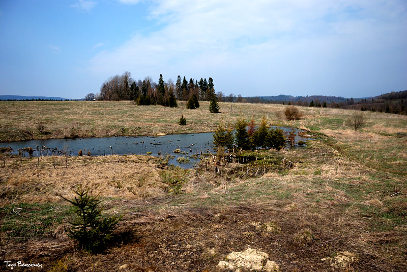 dolina g�rnego Sanu