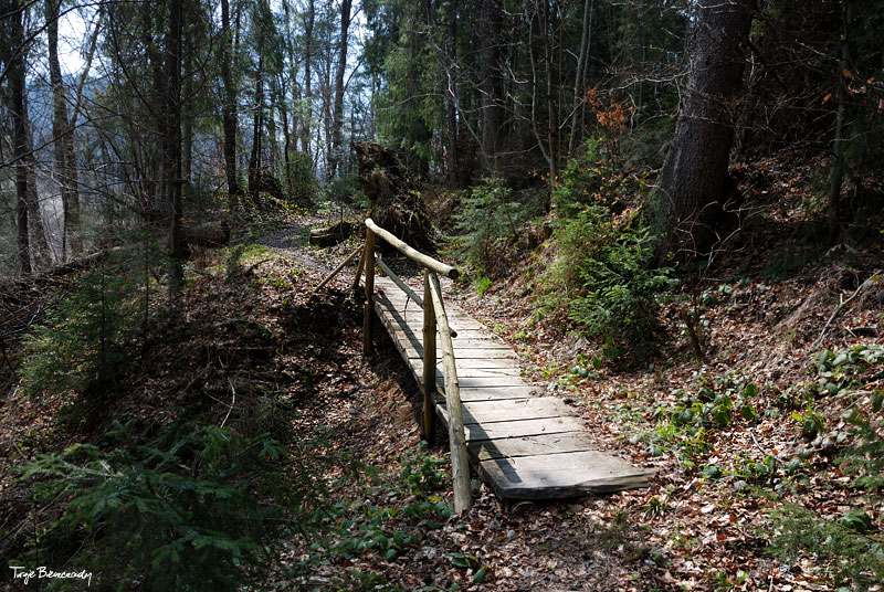 dolina g�rnego Sanu